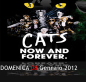 PHOTOGALLERY - CATS NOW AND FOREVER. - 08/01/2012 - Boccaccio Club