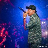 VIBE-NERISSIMA SERPE - 01/06/2025