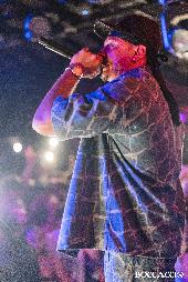 VIBE-NERISSIMA SERPE - 01/06/2025