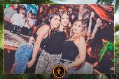 VIPERA - TROPICAL - 01/10/2019
