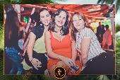 VIPERA - TROPICAL - 01/10/2019