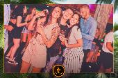 VIPERA - TROPICAL - 01/10/2019