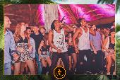 VIPERA - TROPICAL - 01/10/2019