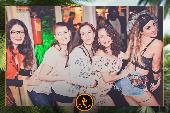 VIPERA - TROPICAL - 02/04/2019