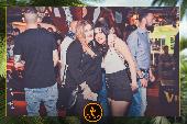 VIPERA - TROPICAL - 02/04/2019