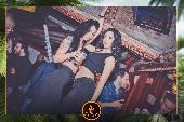 VIPERA - TROPICAL - 02/04/2019