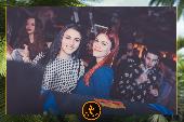 VIPERA - TROPICAL - 02/04/2019