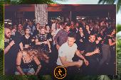 VIPERA - TROPICAL - 02/04/2019