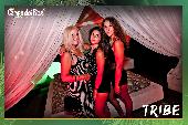 Campo dei Fiori - TRIBE - 03/08/2019