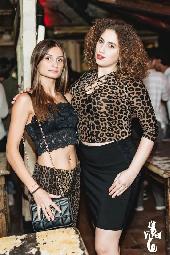 VIPERA - NOTTE ITALIANA - 03/10/2026