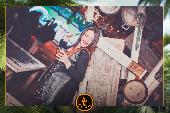 VIPERA - TROPICAL - 05/02/2019