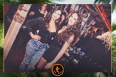VIPERA - TROPICAL - 05/02/2019