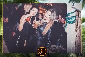 VIPERA - TROPICAL - 05/02/2019