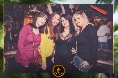 VIPERA - TROPICAL - 05/02/2019