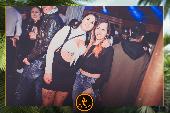 VIPERA - TROPICAL - 05/02/2019