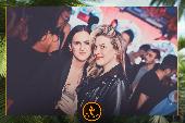 VIPERA - TROPICAL - 05/02/2019