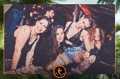 VIPERA - TROPICAL - 05/02/2019