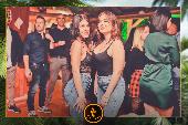 VIPERA - 05/11/2019