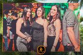 VIPERA - 05/11/2019