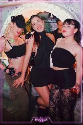 VIPERA - CULT TUESDAY - 07/04/2026