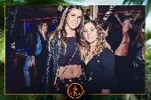 VIPERA - TROPICAL - 07/05/2019
