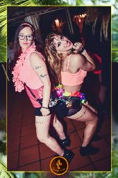 VIPERA - TROPICAL - 07/05/2019