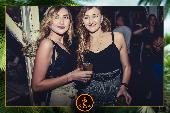 VIPERA - TROPICAL - 07/05/2019