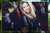 VIPERA - TROPICAL - 07/05/2019