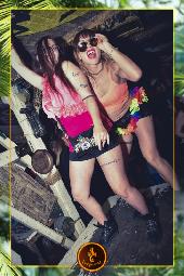 VIPERA - TROPICAL - 07/05/2019