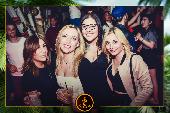 VIPERA - TROPICAL - 07/05/2019