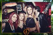 VIPERA - TROPICAL - 07/05/2019