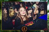 VIPERA - TROPICAL - 07/05/2019