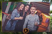 VIPERA - TROPICAL - 08/01/2019