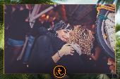 VIPERA - TROPICAL - 08/01/2019