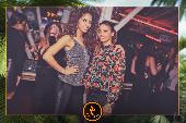 VIPERA - TROPICAL - 08/01/2019