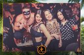 VIPERA - TROPICAL - 08/01/2019