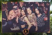 VIPERA - TROPICAL - 08/01/2019