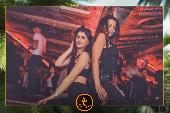 VIPERA - TROPICAL - 08/01/2019