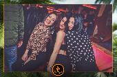 VIPERA - TROPICAL - 08/01/2019