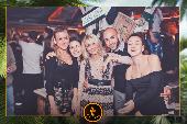 VIPERA - TROPICAL - 09/04/2019