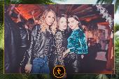 VIPERA - TROPICAL - 09/04/2019