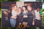 VIPERA - TROPICAL - 09/04/2019