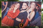 VIPERA - TROPICAL - 09/04/2019