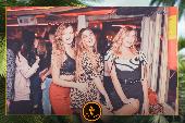 VIPERA - TROPICAL - 09/04/2019