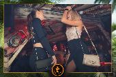 VIPERA - TROPICAL - 09/11/2021