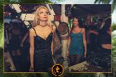 VIPERA - TROPICAL - 09/11/2021