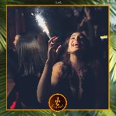 VIPERA - TROPICAL - 09/11/2021