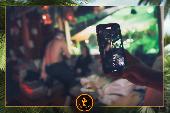 VIPERA - TROPICAL - 09/11/2021