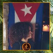 VIPERA - TROPICAL - 09/11/2021