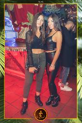 VIPERA - TROPICAL - 09/11/2021